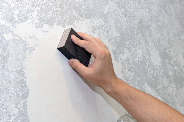 Best Forensic Mold Investigation  in Cleary, MS