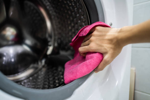 Best Mold Prevention Services  in Cleary, MS