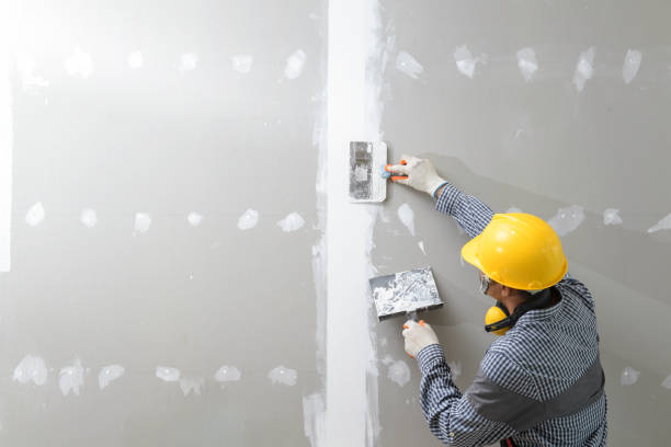 Best Mold Remediation for Healthcare Facilities  in Cleary, MS