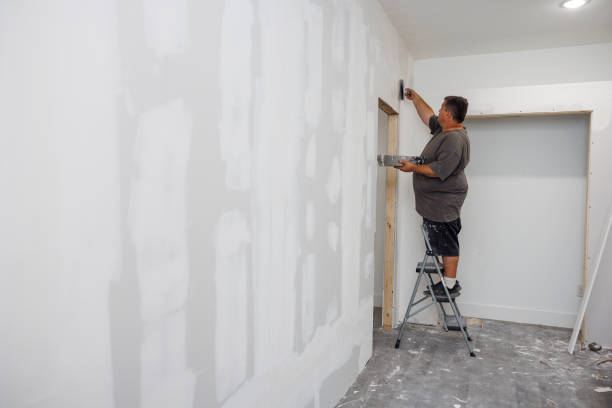 Mold Odor Removal Services in Cleary, MS