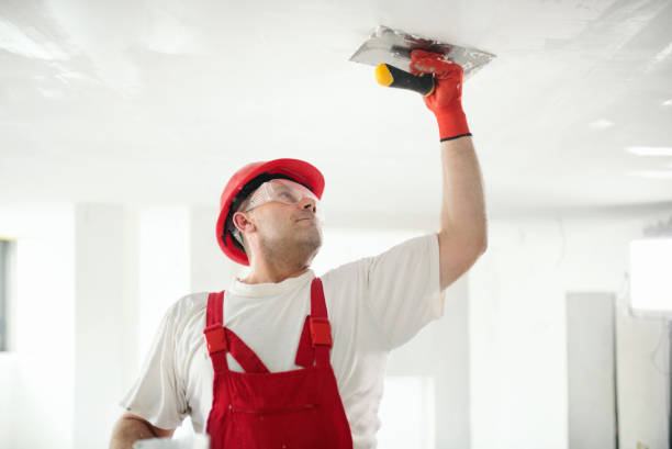 Best Attic Mold Removal  in Cleary, MS